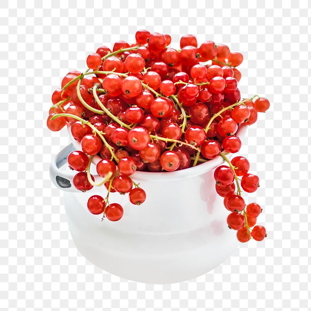 Red berry png, transparent background