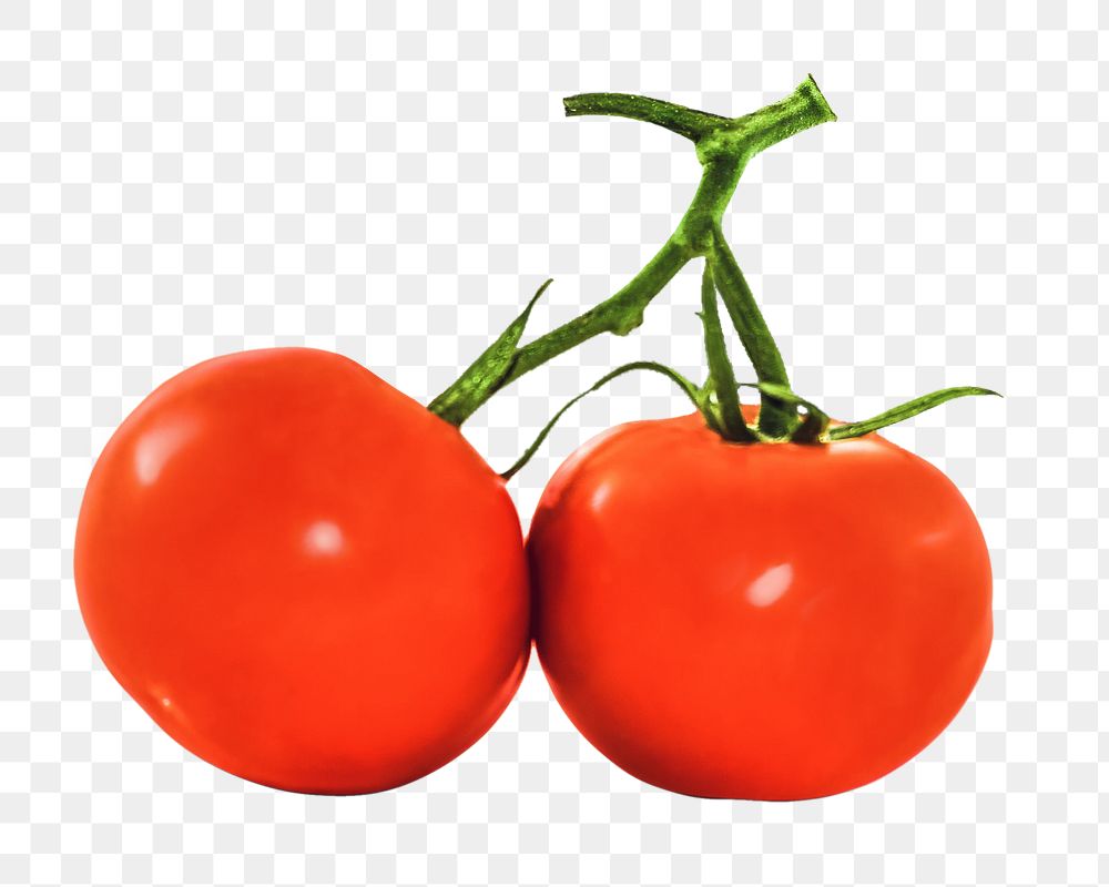 Tomato vegetable png, transparent background