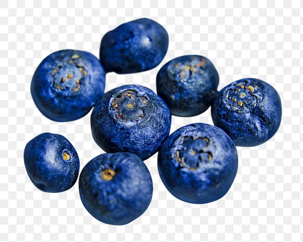 Png Blueberries, transparent background