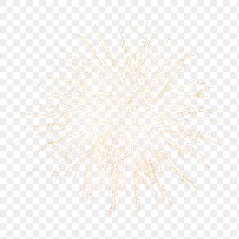 Fireworks png, transparent background