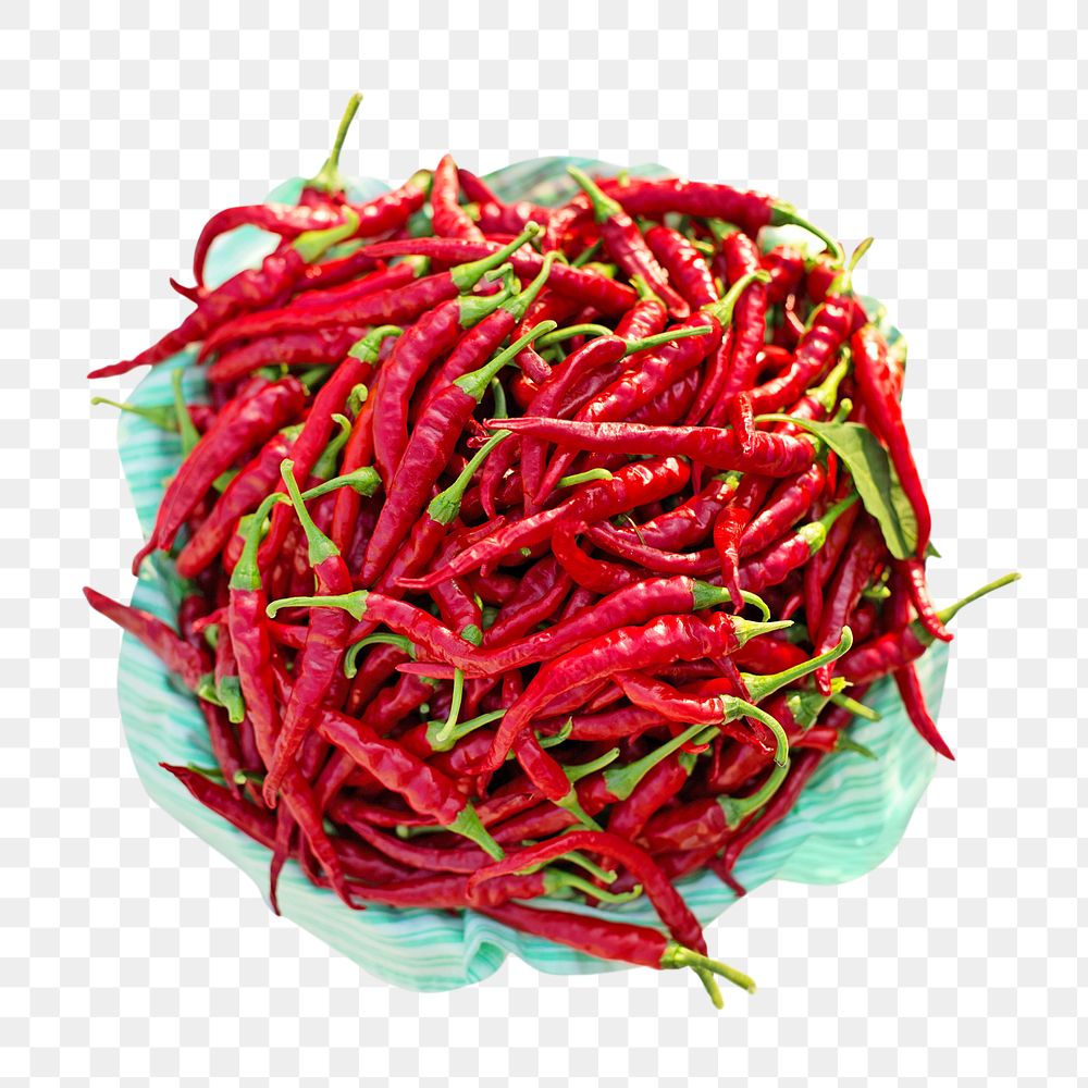 Chilli png collage element on transparent background