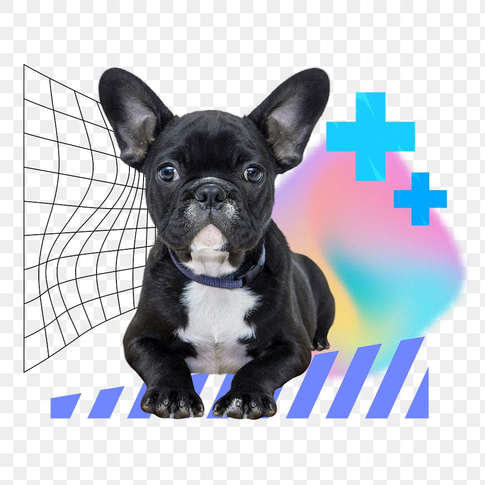 Sitting puppy png, pet insurance remix, transparent background