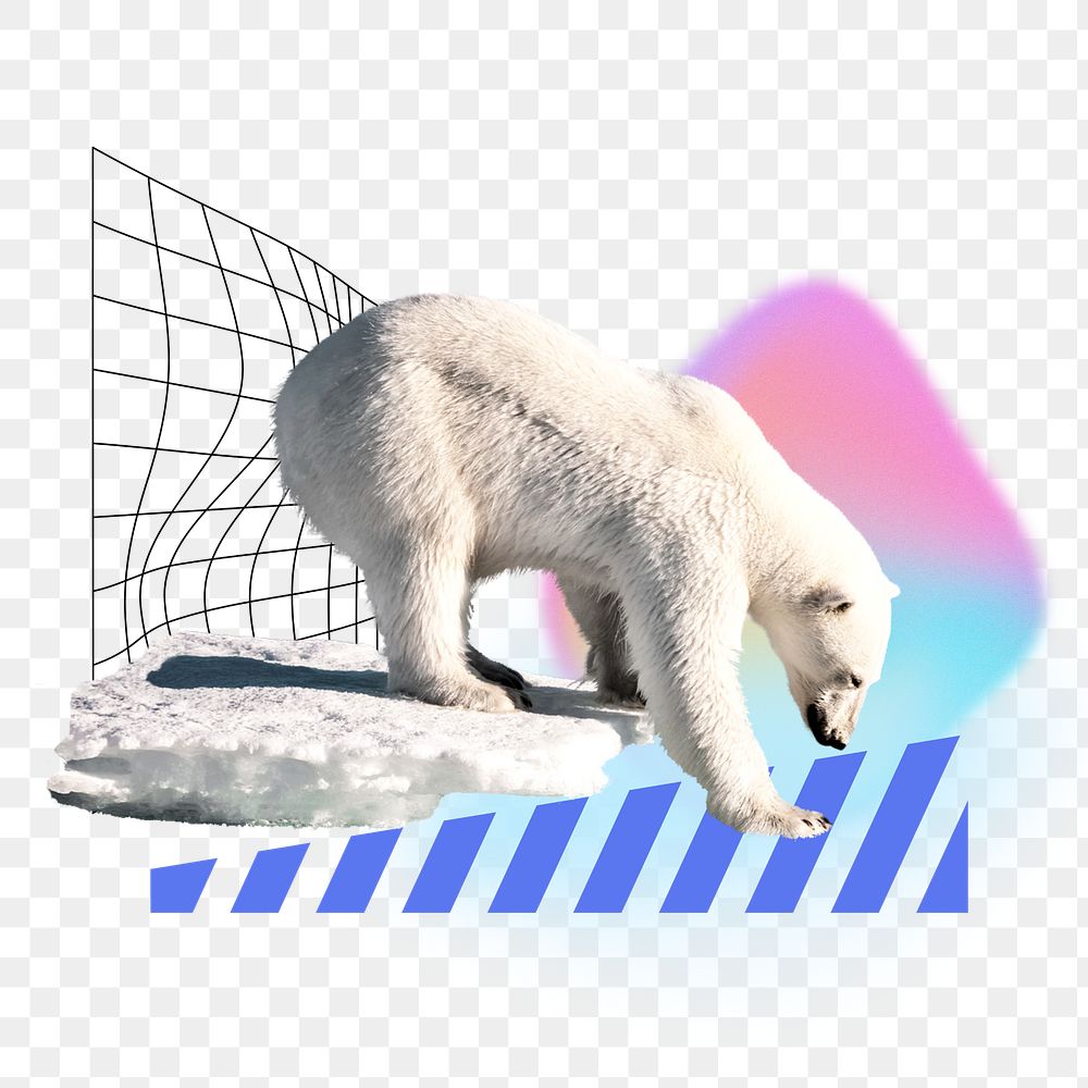 Polar bear png, creative climate change remix, transparent background
