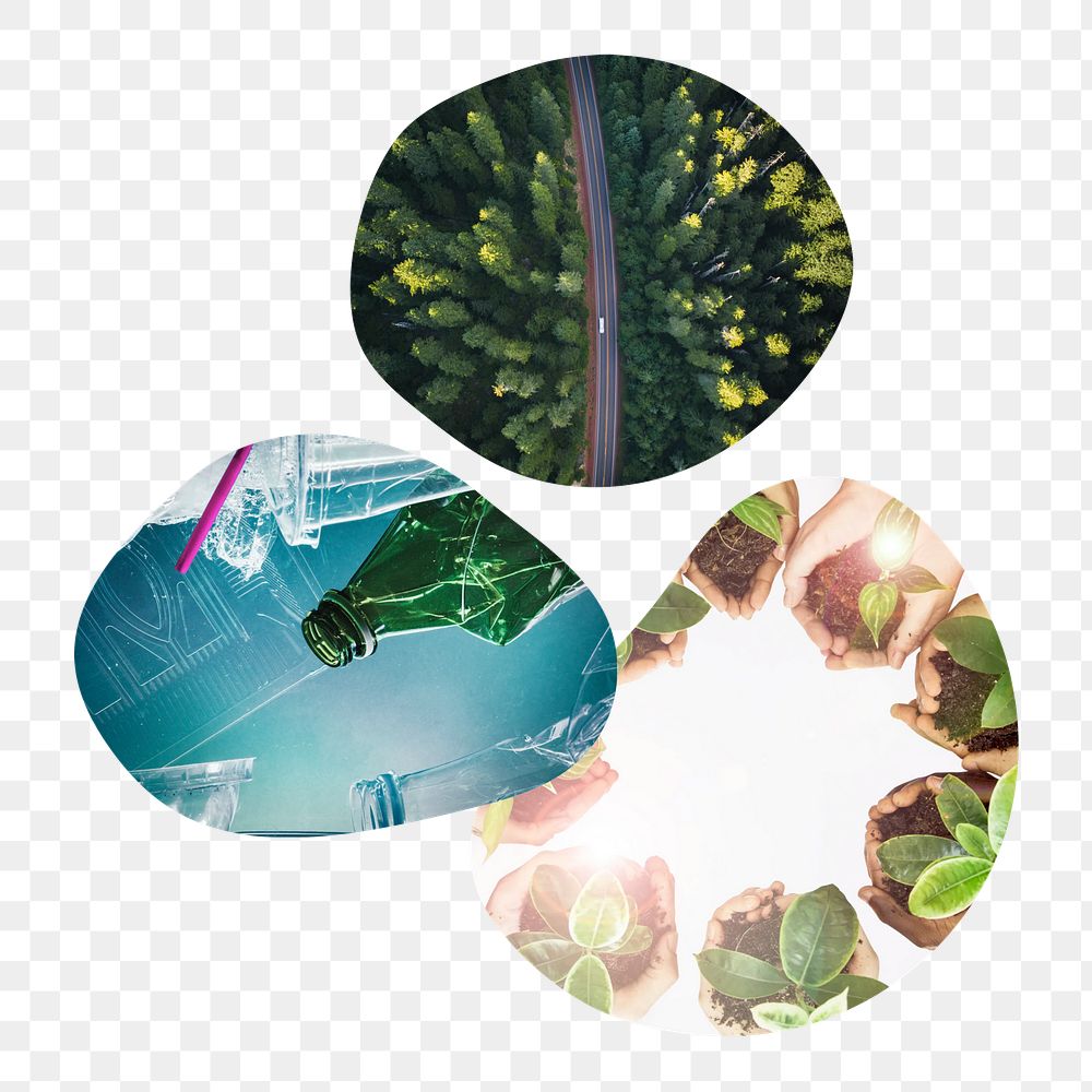 Sustainability png badge elements, transparent background