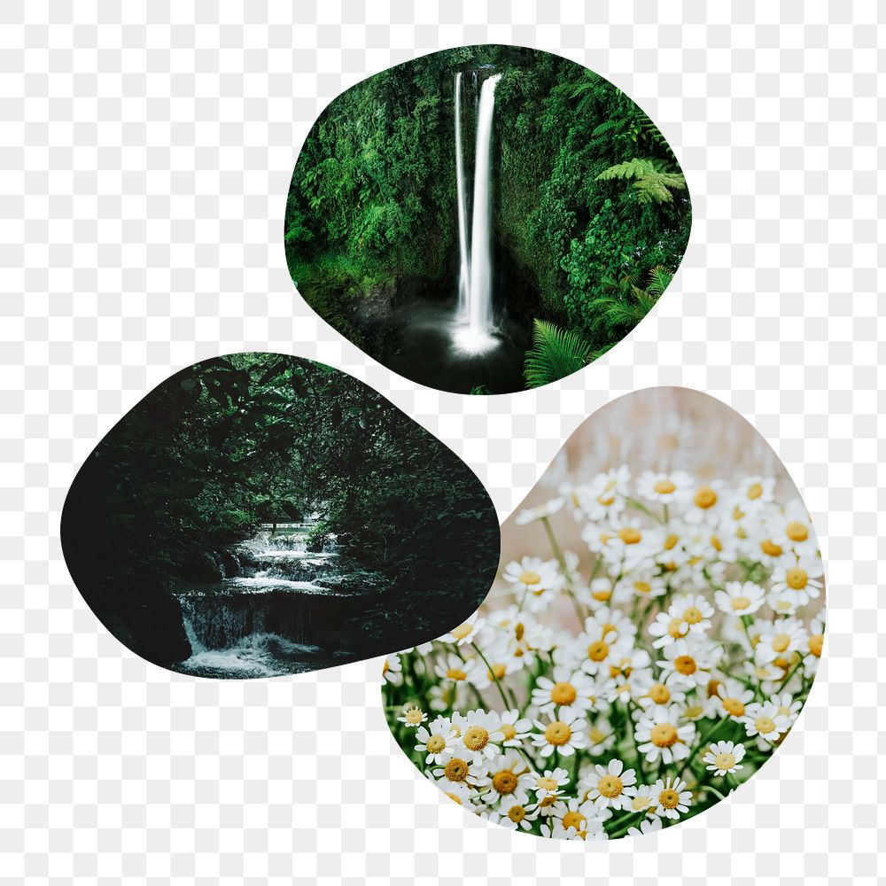 PNG waterfall and chamomile badge elements, transparent background