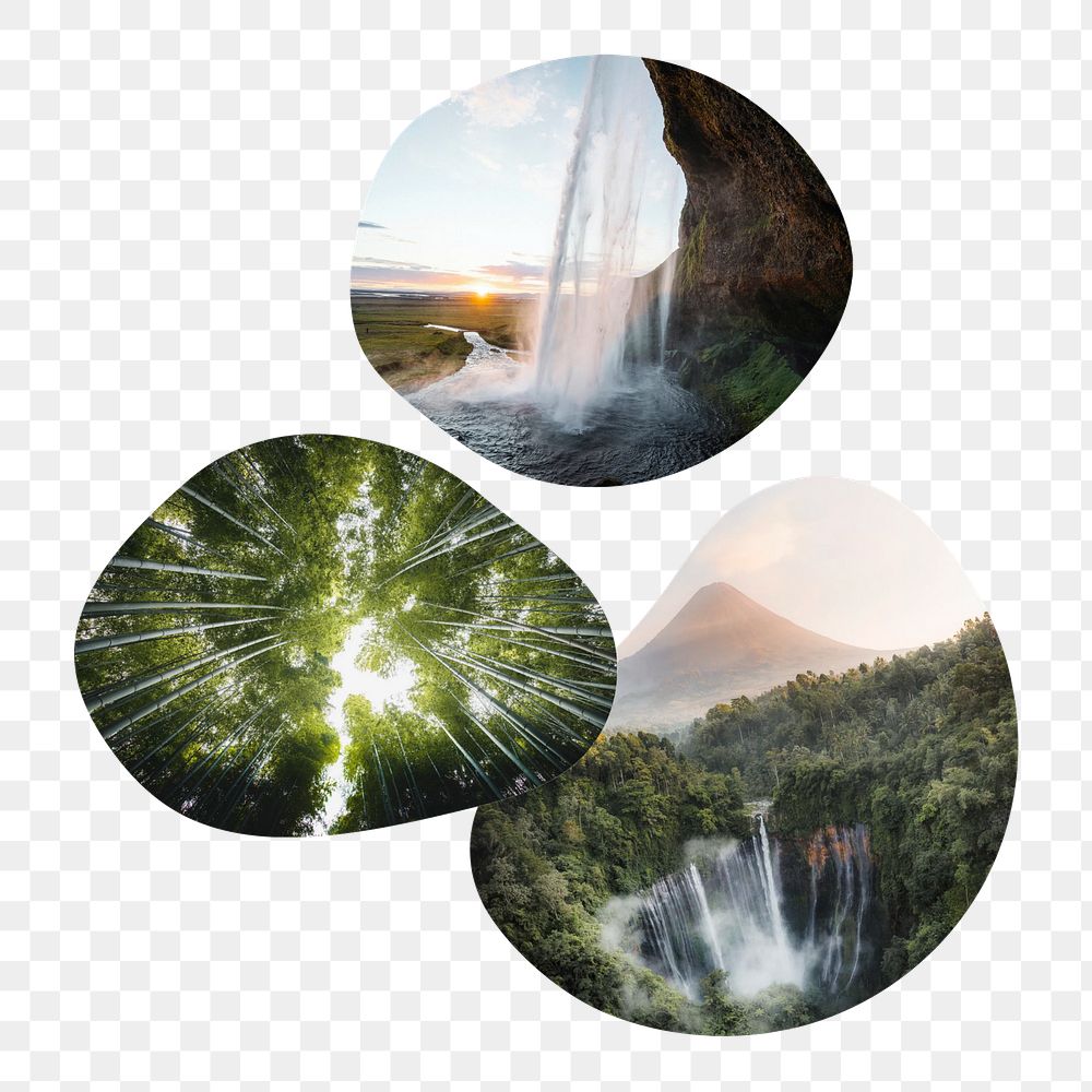 PNG Waterfall and forest badge elements, transparent background