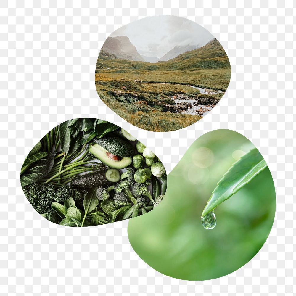 Green nature png badge elements, transparent background