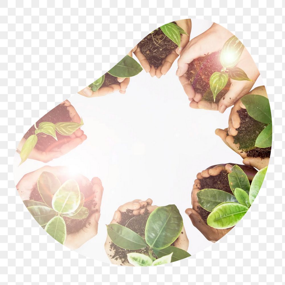 Planting trees png badge element, transparent background