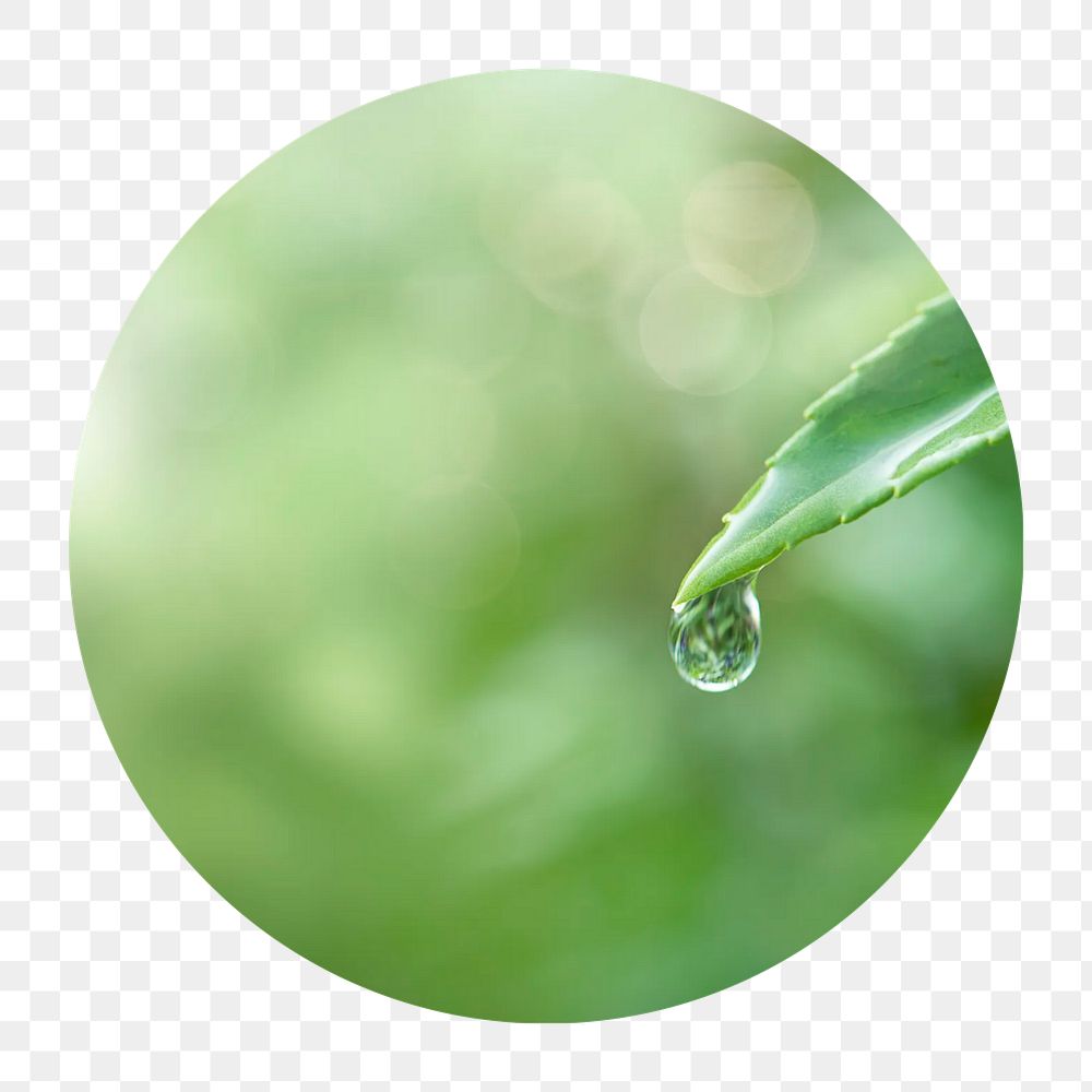 Water drop png circle badge element, transparent background