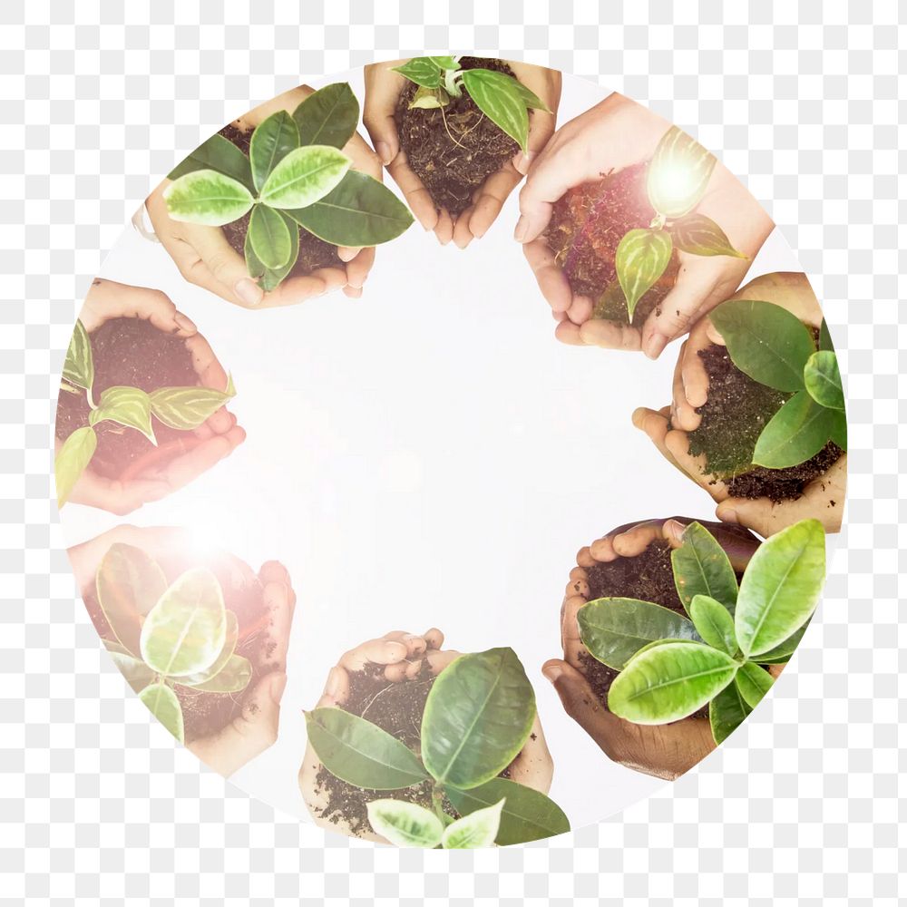 Planting trees png circle badge element, transparent background