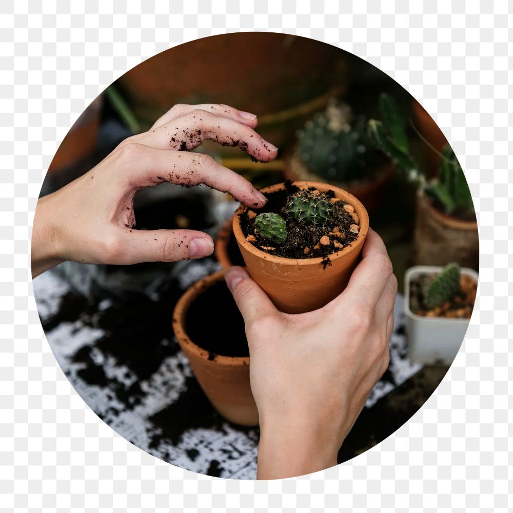 Gardening png circle badge element, transparent background