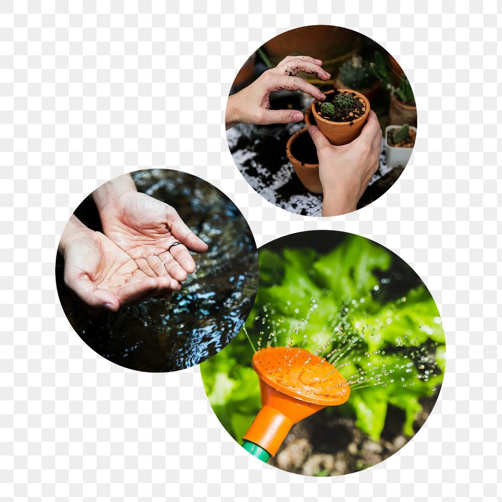 Gardening, plants png circle badge elements, transparent background