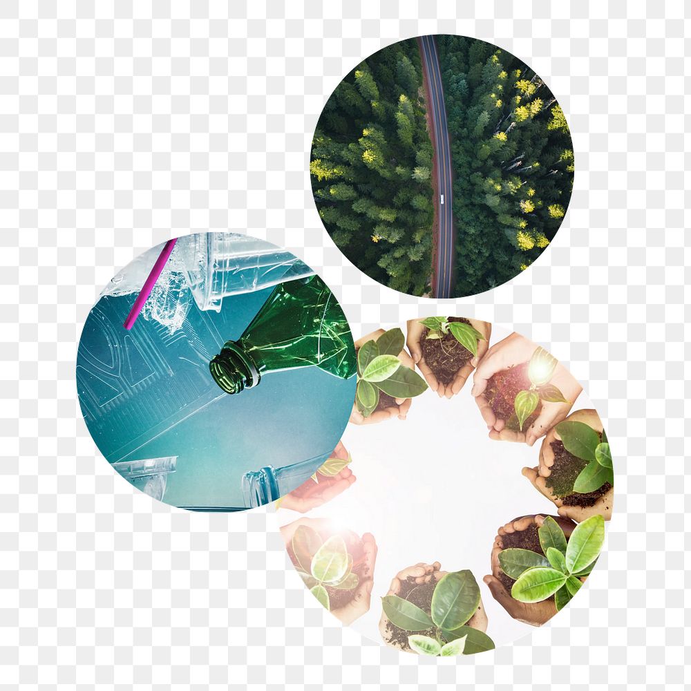 Sustainability png circle badge elements, transparent background