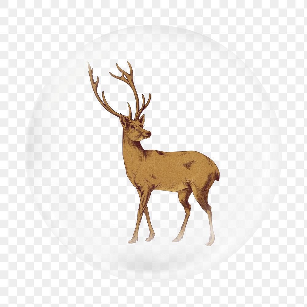Deer png vintage animal sticker, bubble design transparent background. Remixed by rawpixel.