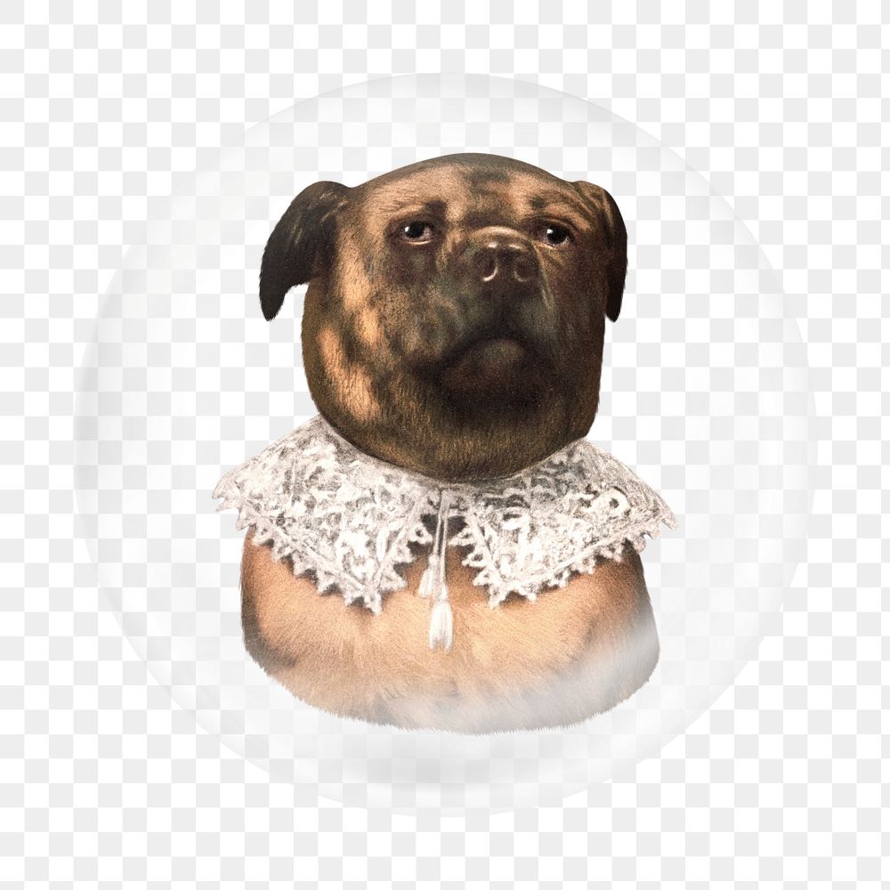 Bulldog png sticker, bubble design transparent background. Remixed by rawpixel.