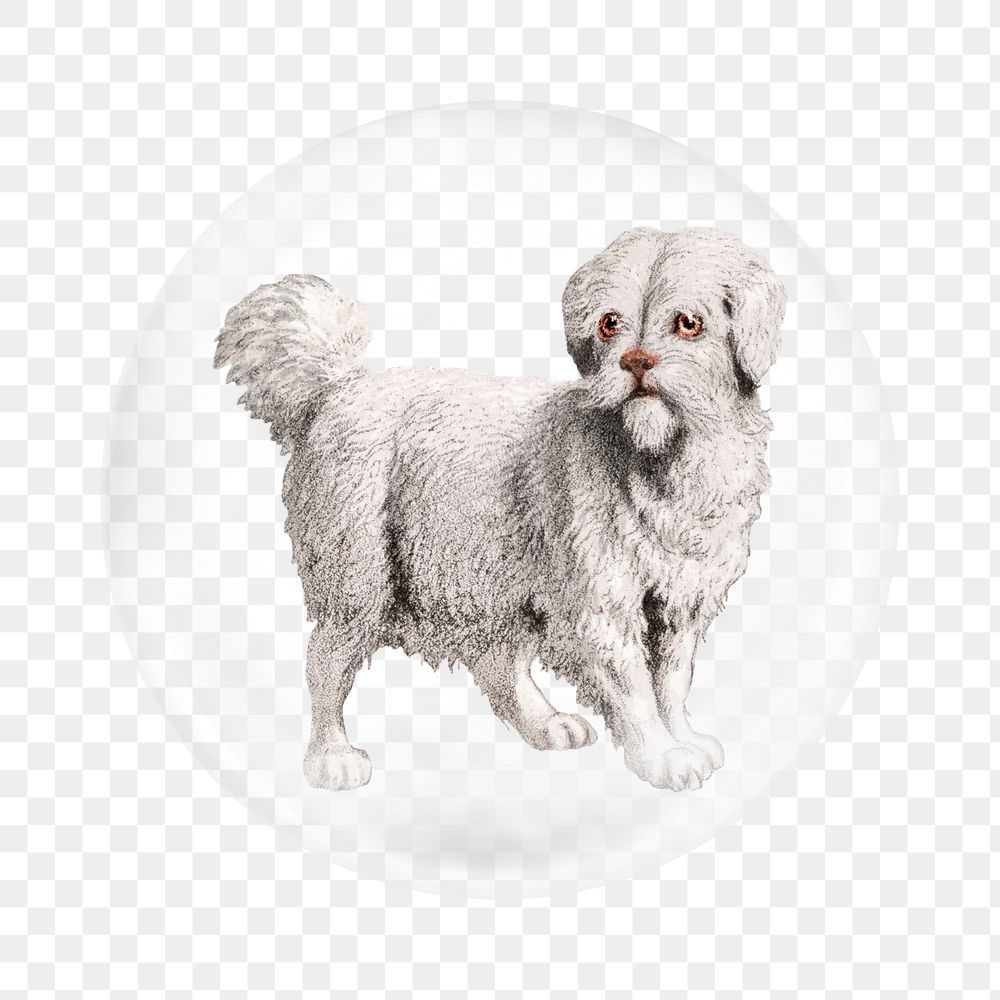 White Carnivora dog png sticker,  bubble design transparent background. Remixed by rawpixel.