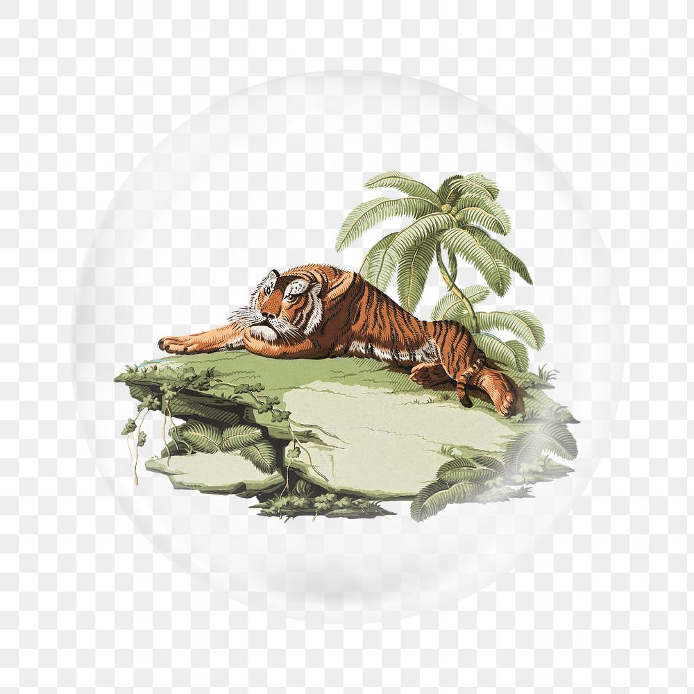 Vintage tiger png sticker, bubble design transparent background. Remixed by rawpixel.