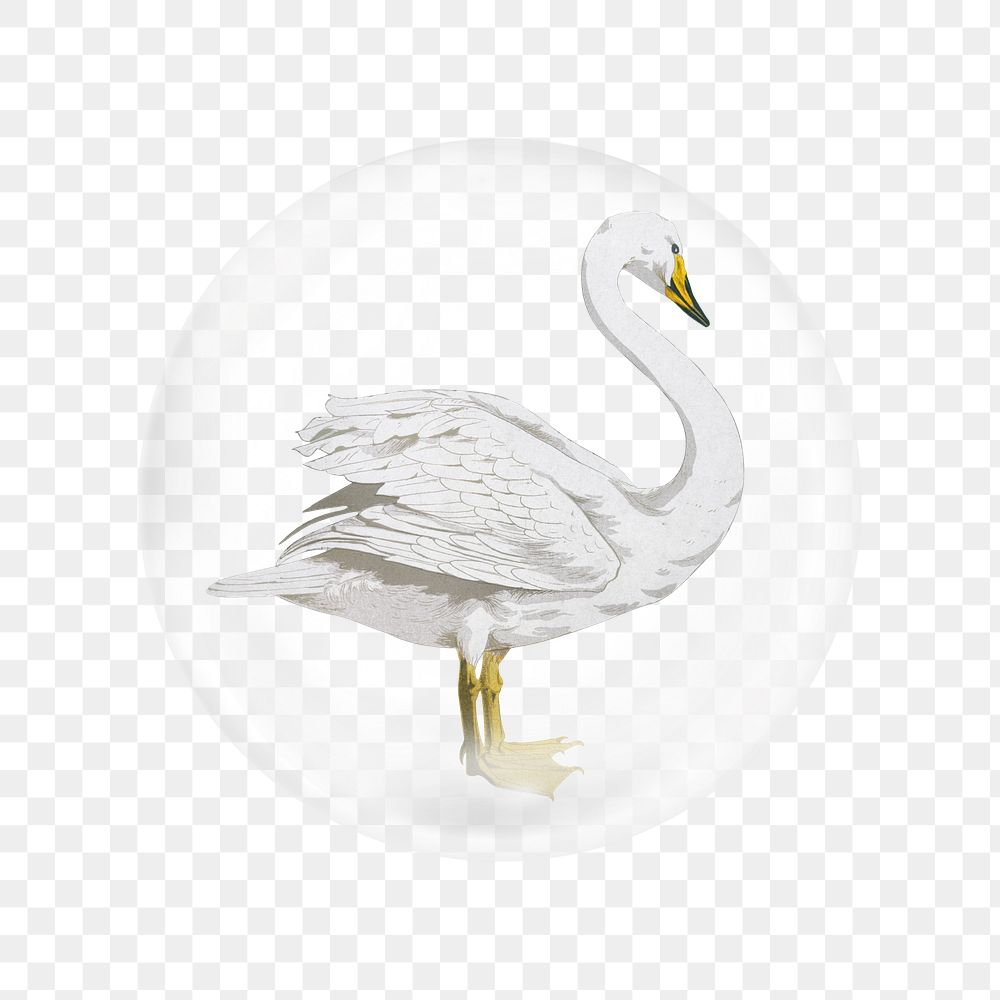 Vintage swan png sticker, bubble design transparent background. Remixed by rawpixel.