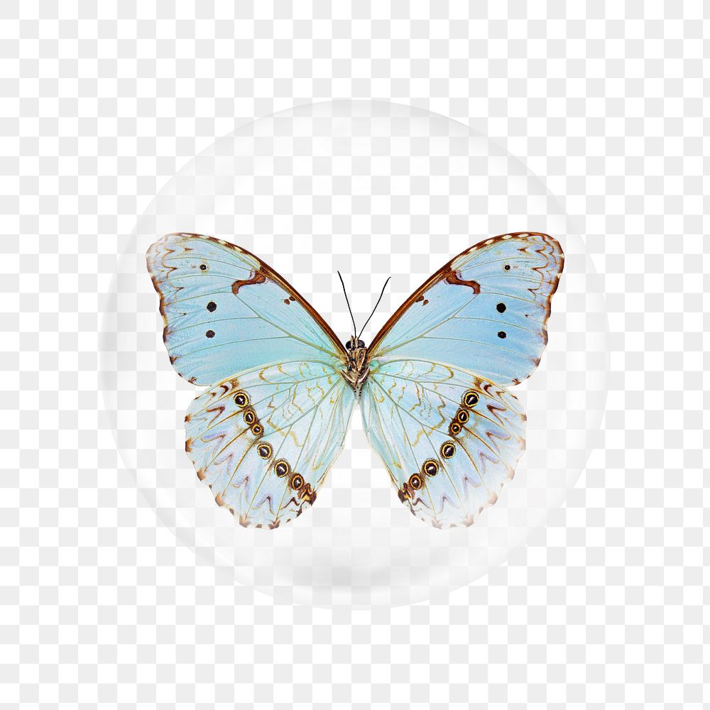 Blue butterfly png sticker, bubble design transparent background. Remixed by rawpixel.