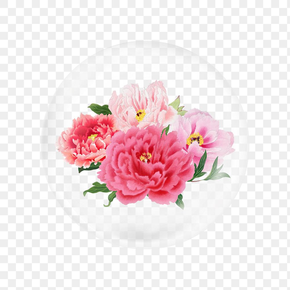 Pink peony png flower sticker, bubble design transparent background. Remixed by rawpixel.