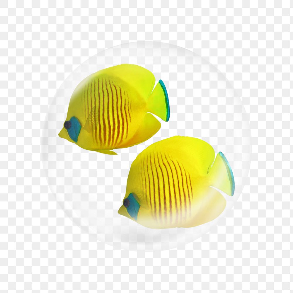 Yellow exotic fish png sticker, bubble design transparent background. Remixed by rawpixel.