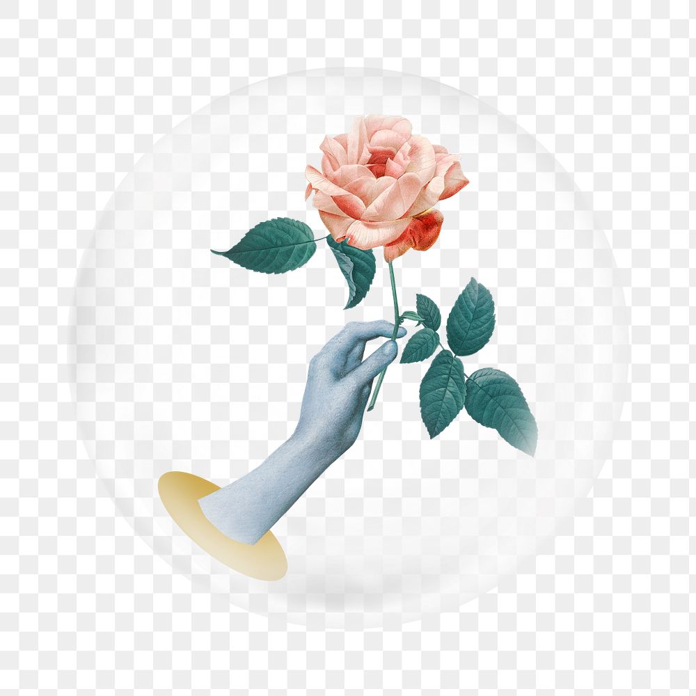 PNG hand holding rose sticker, bubble design transparent background. Remixed by rawpixel.