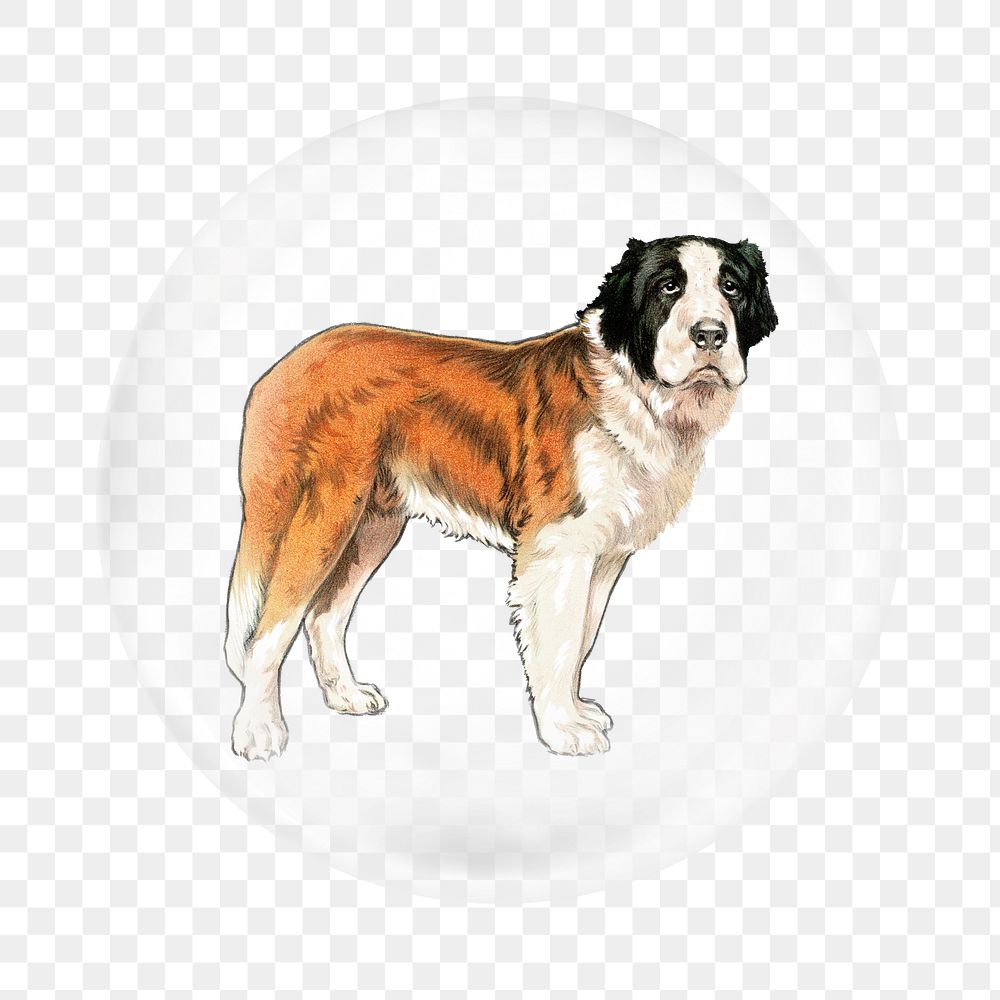 Saint bernard png dog sticker, bubble design transparent background. Remixed by rawpixel.