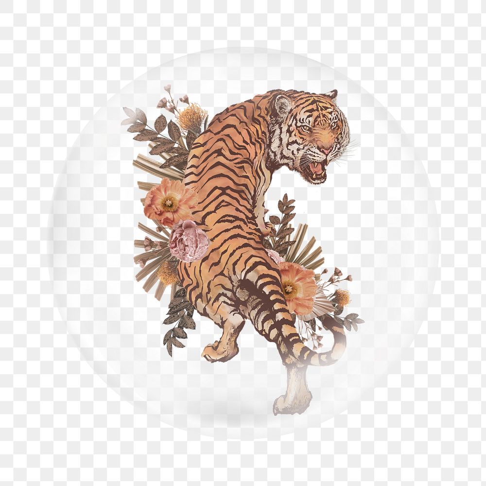 PNG aesthetic wild tiger    sticker, bubble design transparent background
