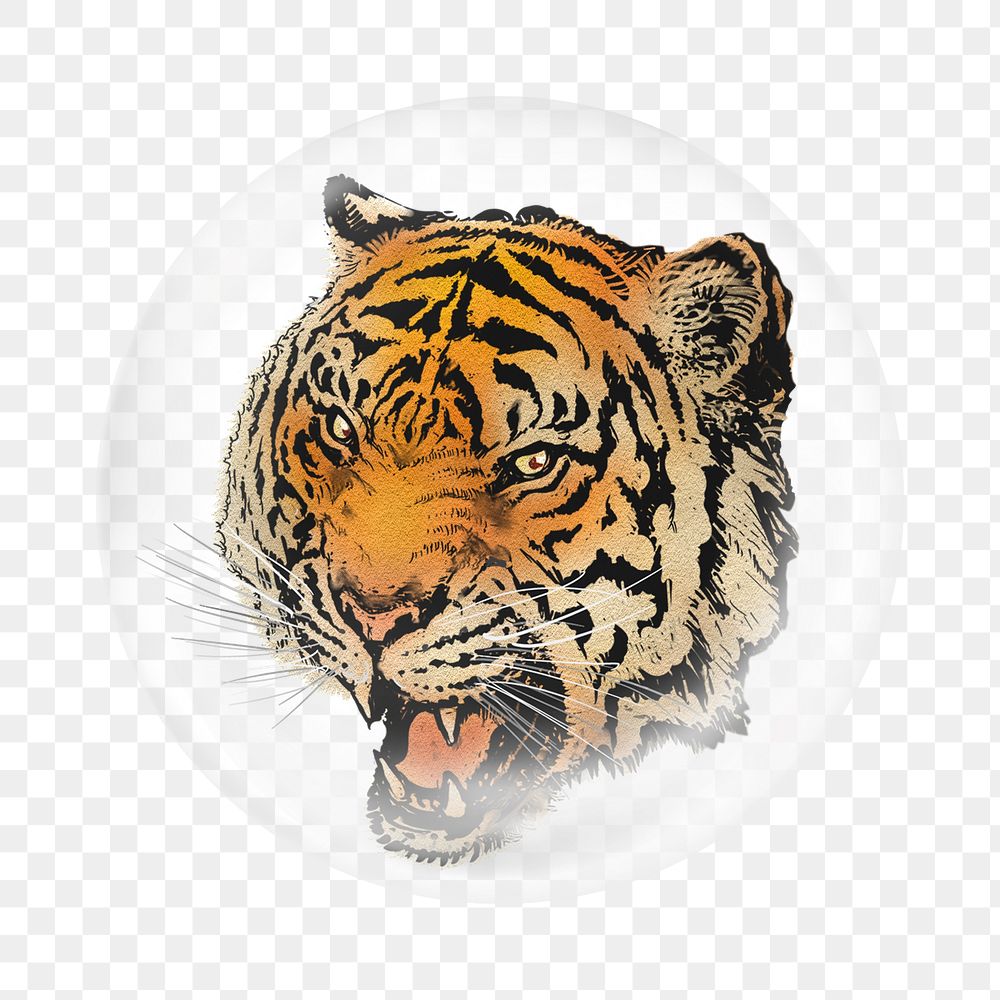 Roaring tiger png   sticker, bubble design transparent background