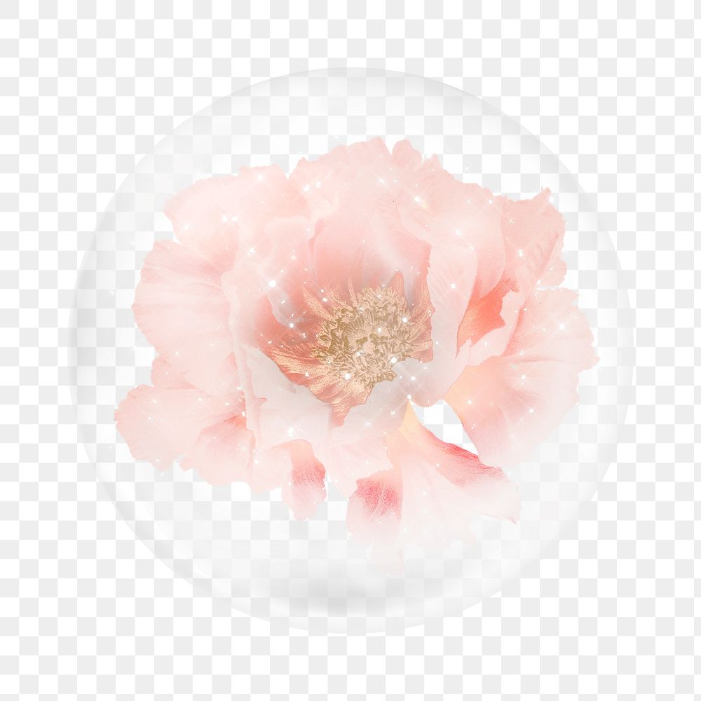 Pink peony png sticker,  bubble design transparent background. Remixed by rawpixel.