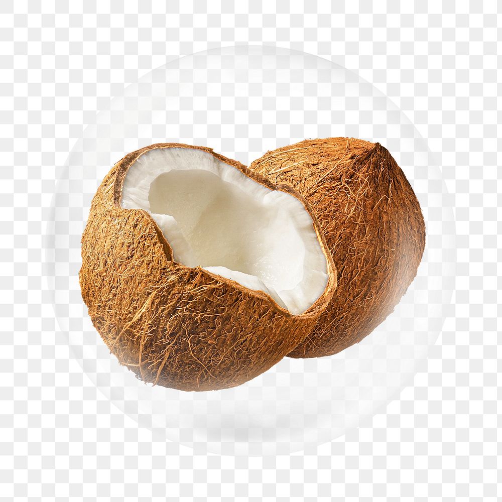 Coconut png element, fruit in bubble