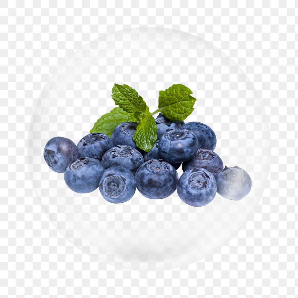 Blueberry png element, fruit in bubble