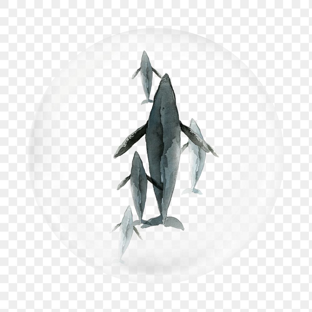 Watercolour shark png element, fish in bubble