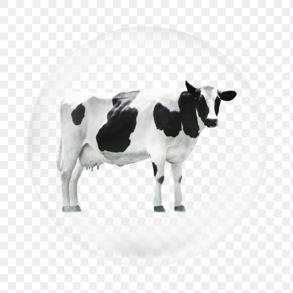 Standing cow png element, animal in bubble