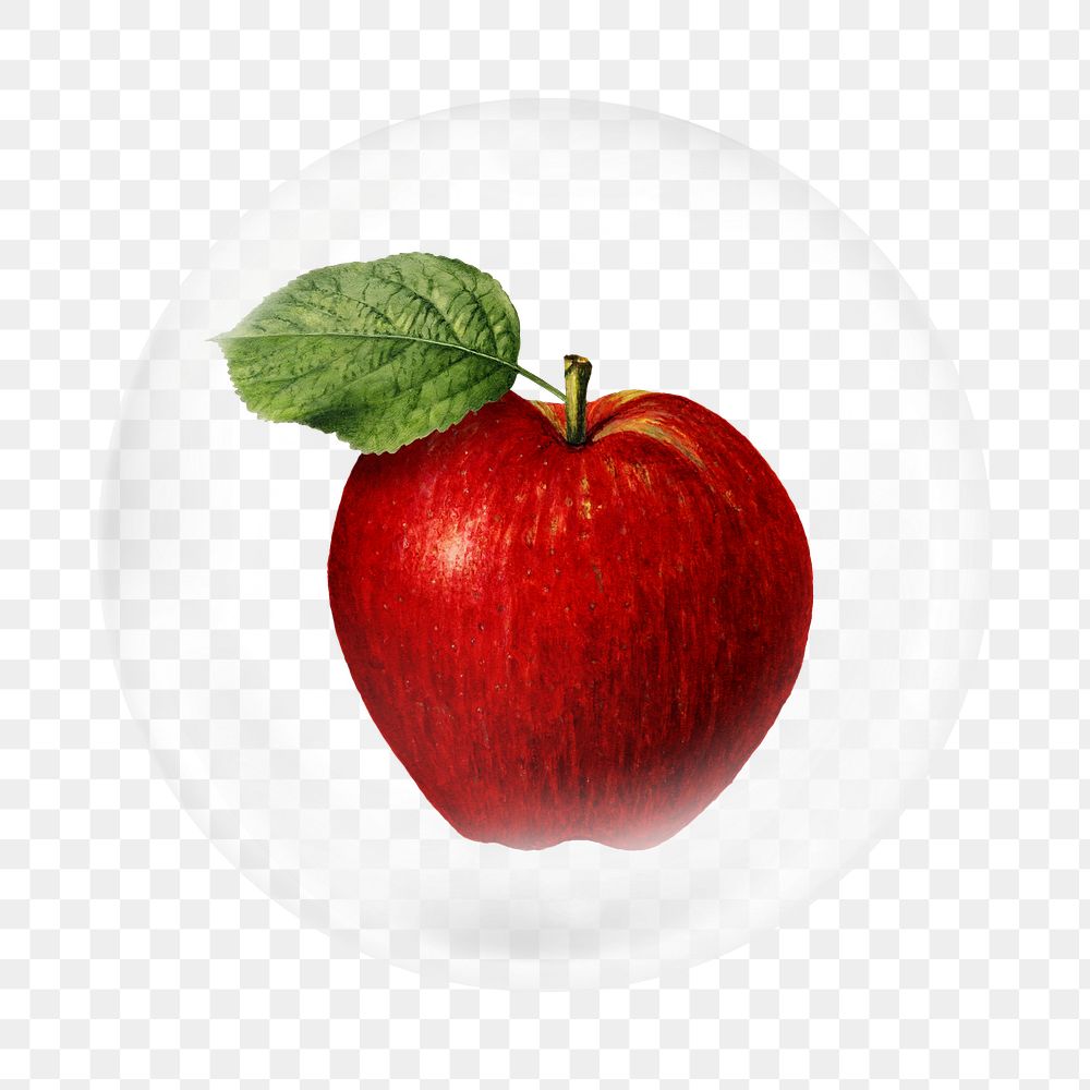 Red apple png element, fruit in bubble