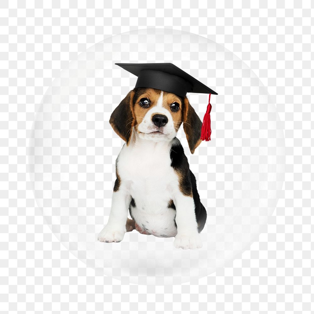 Graduated puppy png element, animal in bubble