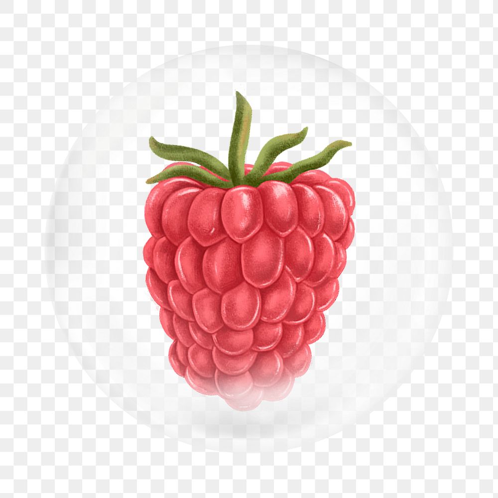 Raspberry png element, fruit in bubble