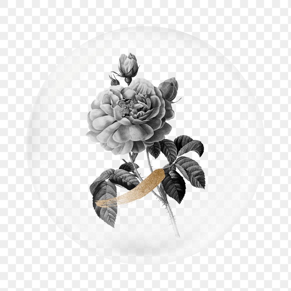 Vintage flower png element, in bubble design