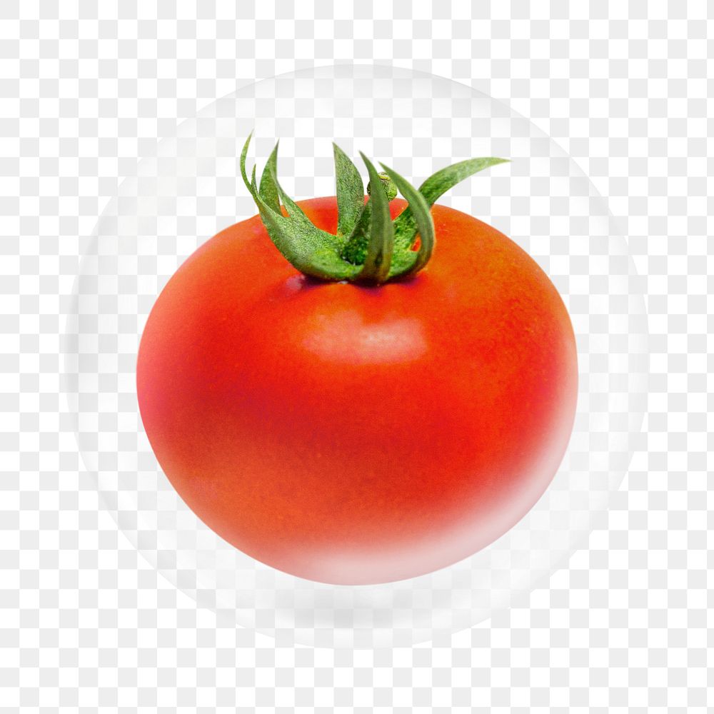 Fresh tomato png element, fruit in bubble