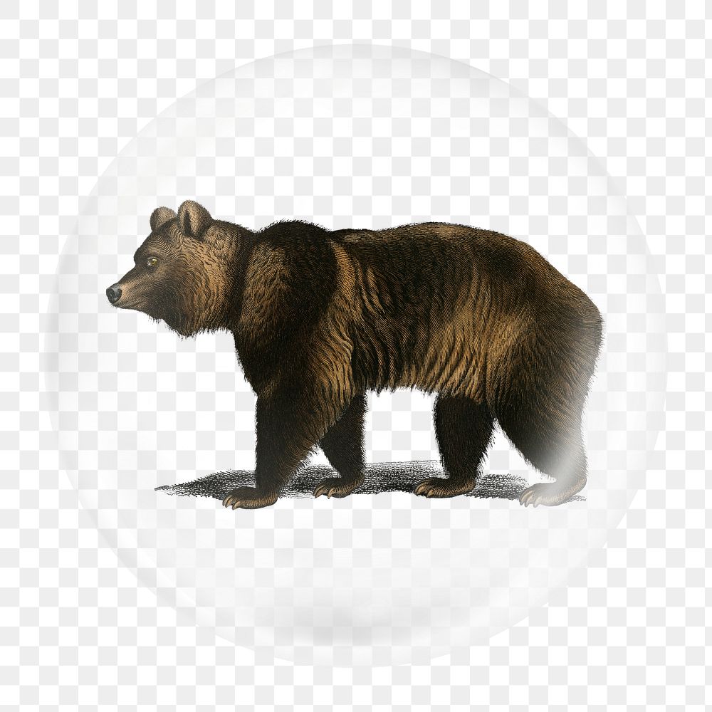 Vintage brown png element, animal in bubble