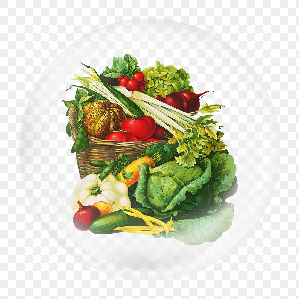 Vegetable illustration png element, fruit in bubble