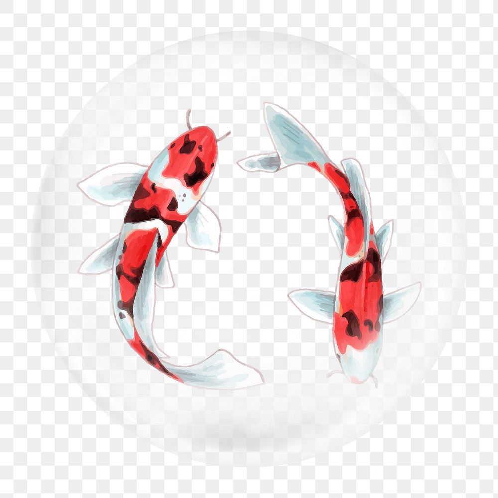 Koi fish png element, fish in bubble