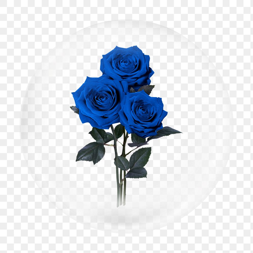 Blue roses png bubble element, transparent background 