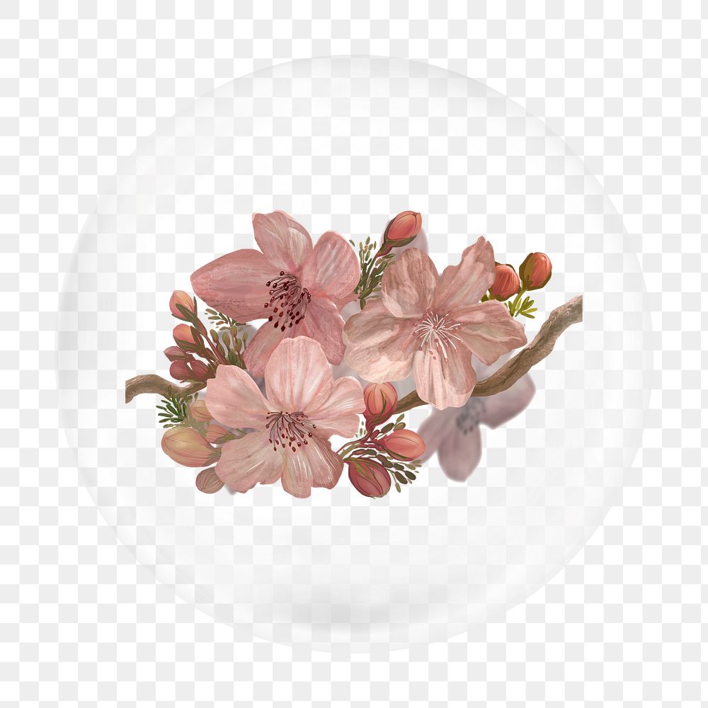 Cherry blossoms png bubble element, transparent background 