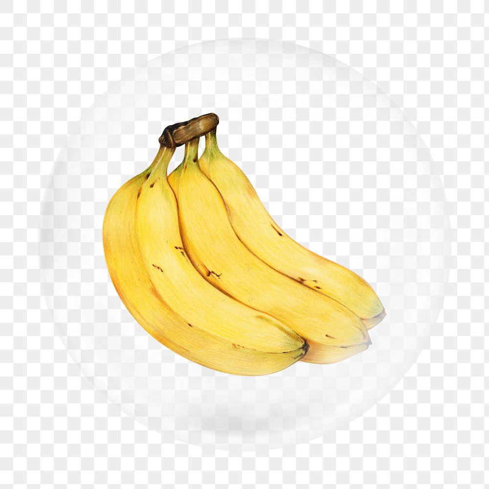 Banana illustration png bubble element, transparent background 