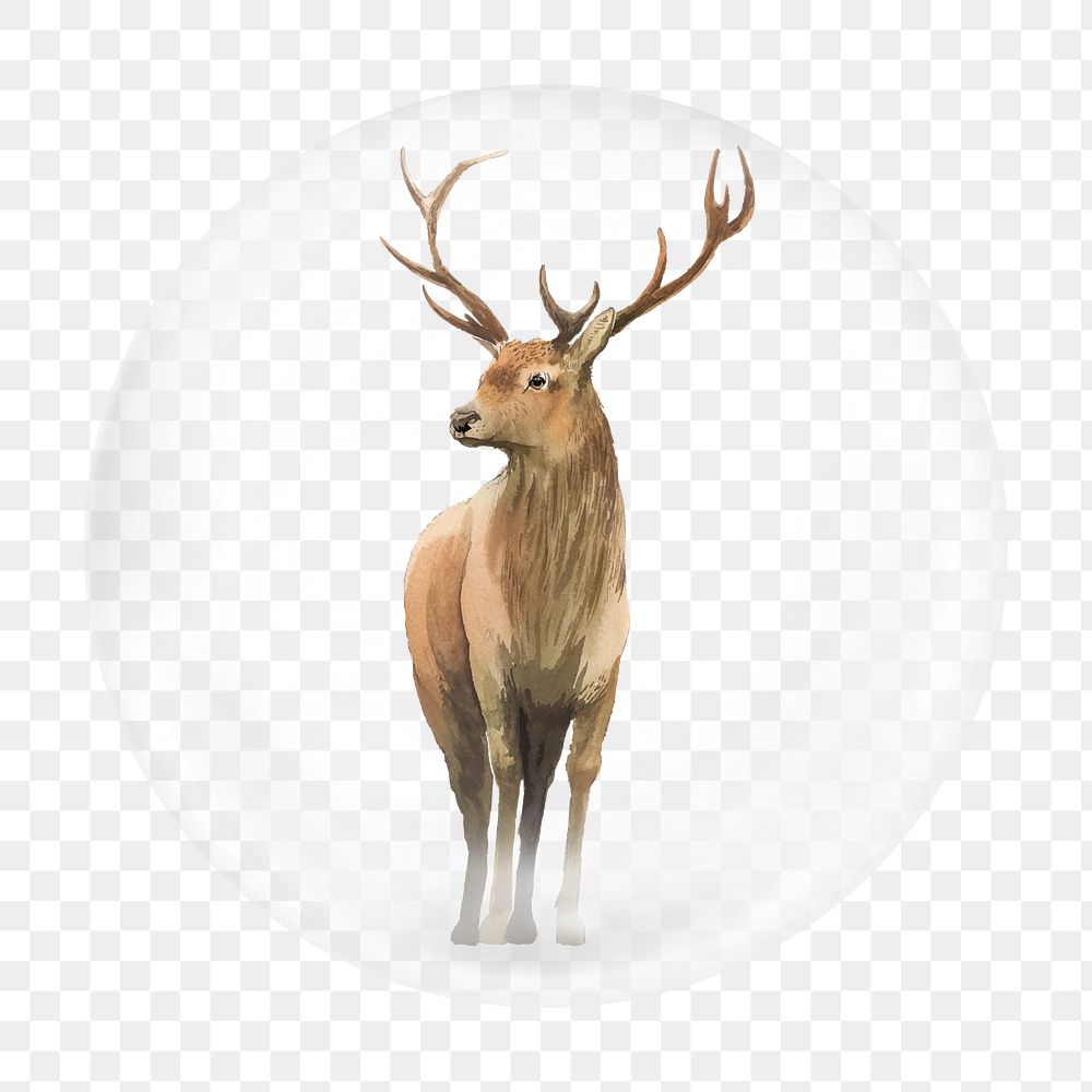 Deer illustration png bubble element, transparent background 