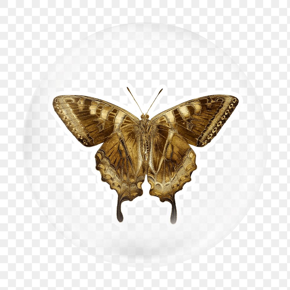 Golden butterfly png bubble element, transparent background 