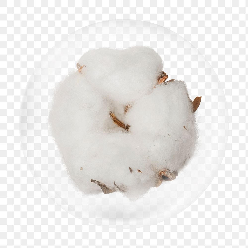 Fluffy cotton png bubble element, transparent background 