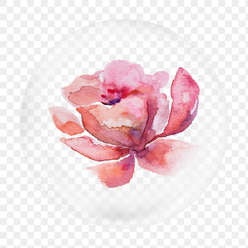 Pink watercolor flower png bubble element, transparent background 