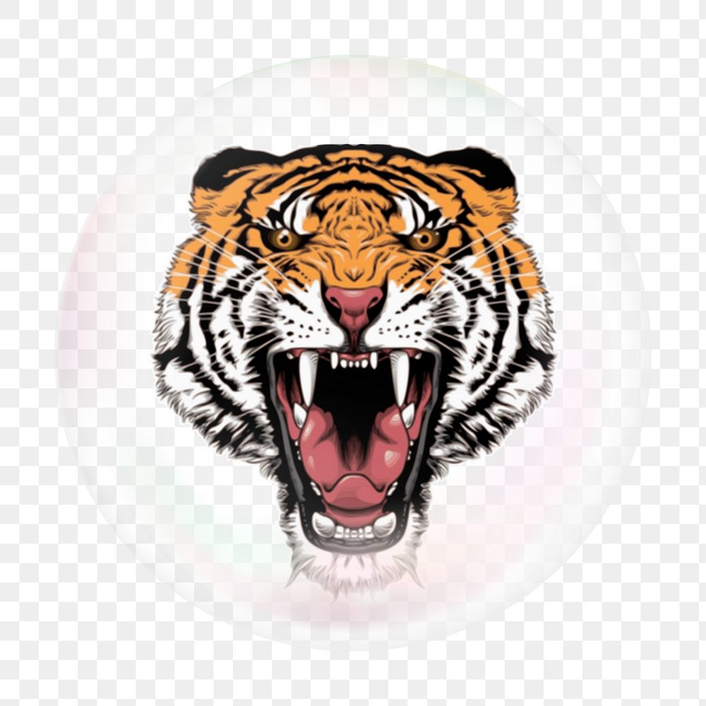 Roaring tiger png bubble effect, transparent background